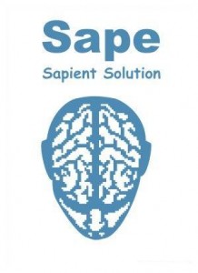 Заработок на продаже ссылок в SAPE